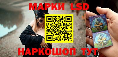 МДПВ Донецк