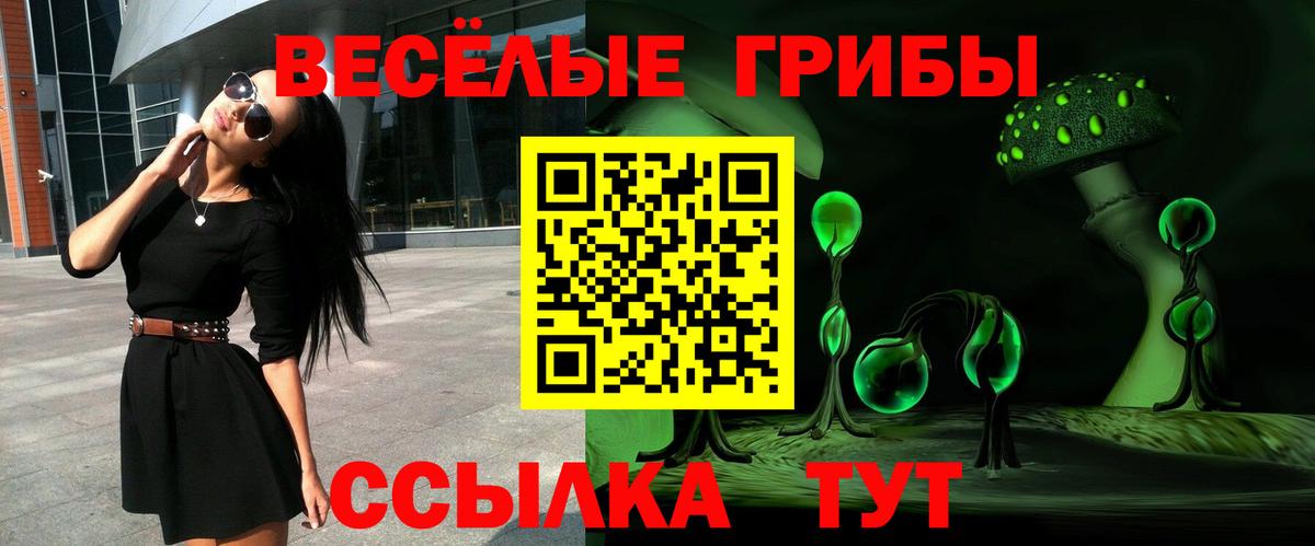 Галлюциногенные грибы ЛСД Луга
